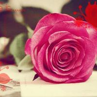 家族内乱换全章(刘小玉) 从后面抱我捏奶摸下面