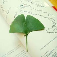 剪完头发发朋友圈的句子