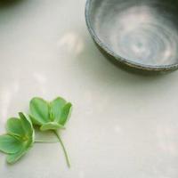 春莺啭1v2*（一睡成瘾1v 1）