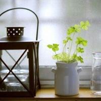 草蜢影院在线观看，新D2天堂抖音短视频