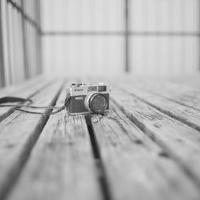 小学端午节的诗句古诗大全