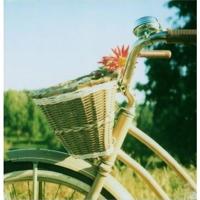 真心话的问题大全狠的