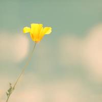 表明炽热的幸福搞笑说说2018，往昔的搞笑说说