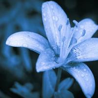 晒自己照片的句子霸气短句，肯定适合你