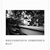 挺岳双腿之间 能看到让你流水的小说