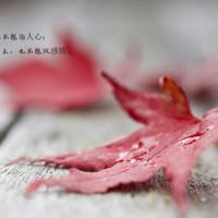 八字短句唯美爱情