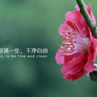 不要分手挽回的话 分手时说的话很决绝，还能挽回吗