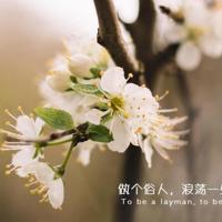 伤感爱情诗句古诗词 伤感爱情诗句大全