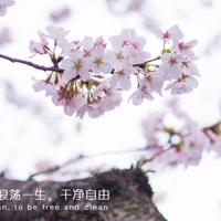 拜年祝福语2021爷爷奶奶