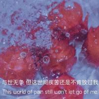 优美哲理励志句子 有没有励志正能量又哲理的句子