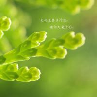 给闺蜜留言的暖心话简短句子