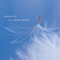 火车上爱爱好爽好刺激 长腿校花揉白腿喷一地水