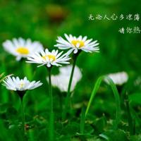 太长又太大又太粗好爽 被老头下药玩好爽