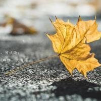 描写一朵花的经典说说