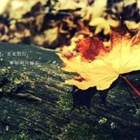 2021年抖音里最扎心的句子