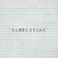 爱情不放弃的句子