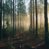 说说大全搞笑说说经典