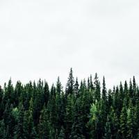 适合2021年发的句子搞笑