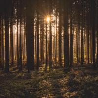 喝酒愁更愁的句子