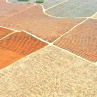 珍贵的爱情说说，关于搞笑的心儿爱情说说