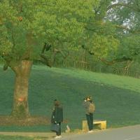 形容教师辛苦的诗句