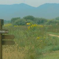 阳光的面对生活的句子 关于热爱生活的句子!阳光的