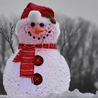 表示对一个人很失望的句子