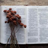 早安坚持正能量短句