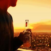 海棠书院自由阅读,山村暴伦目录