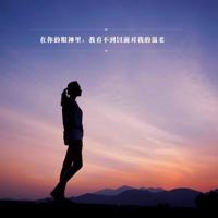 从此不再碰感情的句子 怎么用一句话形容从此不再触碰爱情