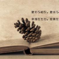 关于对某人失望的诗句