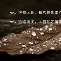 吴孟达最经典语录