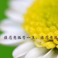 感谢干姐姐的话