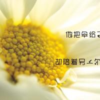 女人半夜里发朋友圈的说说