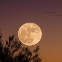 2021最火经典语录搞笑