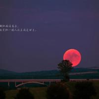 形容热的搞笑句子