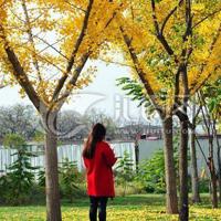 大地影院|她见青山(婚后)by阿司匹林免费阅读