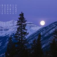 萌到炸的撩妹情话 撩妹情话，谢谢