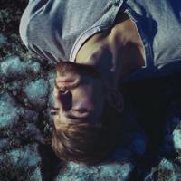 关于植树节的古诗20首