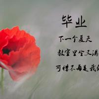 让一个人伤心到哭的句子
