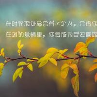 一睡成瘾1v 1、花式睡你1∨1