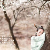 他似火 (军婚 高干 婚恋)全文免费txt下载,随心所欲的世界第一章