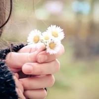 单身没谈恋爱的心情句子