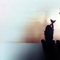 傻子的春天龙根全章免费阅读 全文在线阅读