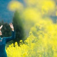 2020年度精选最催泪的伤感网名