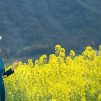 微信朋友圈失望说说