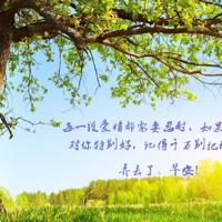 描写桃花红艳的诗句