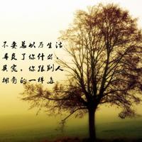 讲述找对象的伤感说说