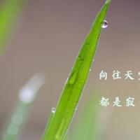 蜜芽miya188跳转接口,翔田千里