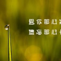 祝外甥周岁生日快乐的句子